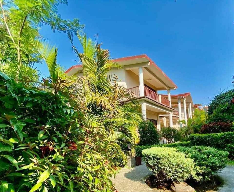 Palette Alaya Resort, Corbett 奈尼塔尔 外观 照片