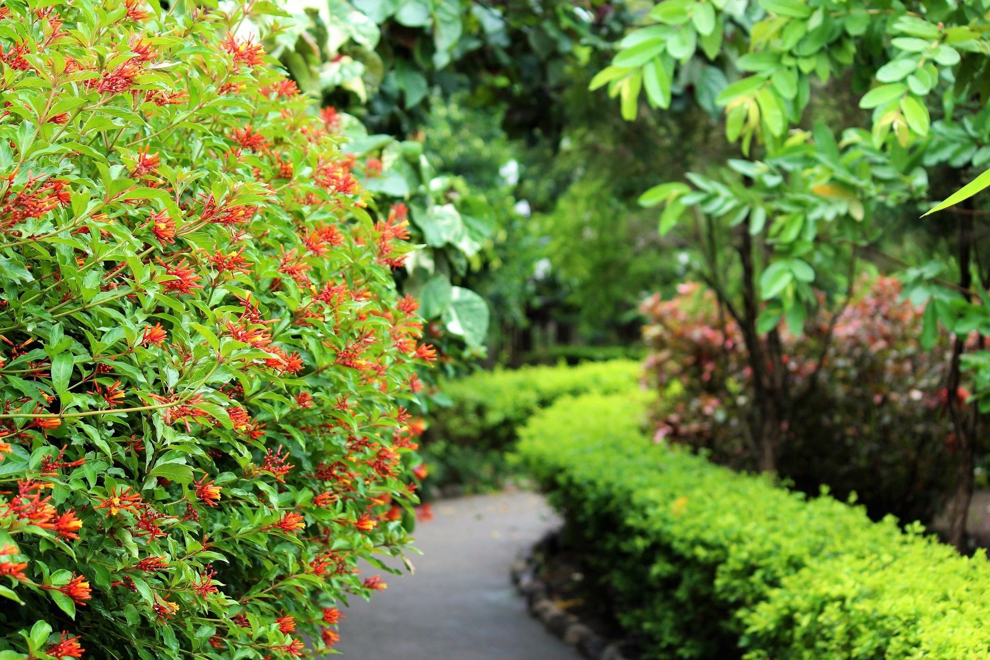 Palette Alaya Resort, Corbett 奈尼塔尔 外观 照片